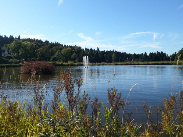 see im kurpark Hahnenklee harz