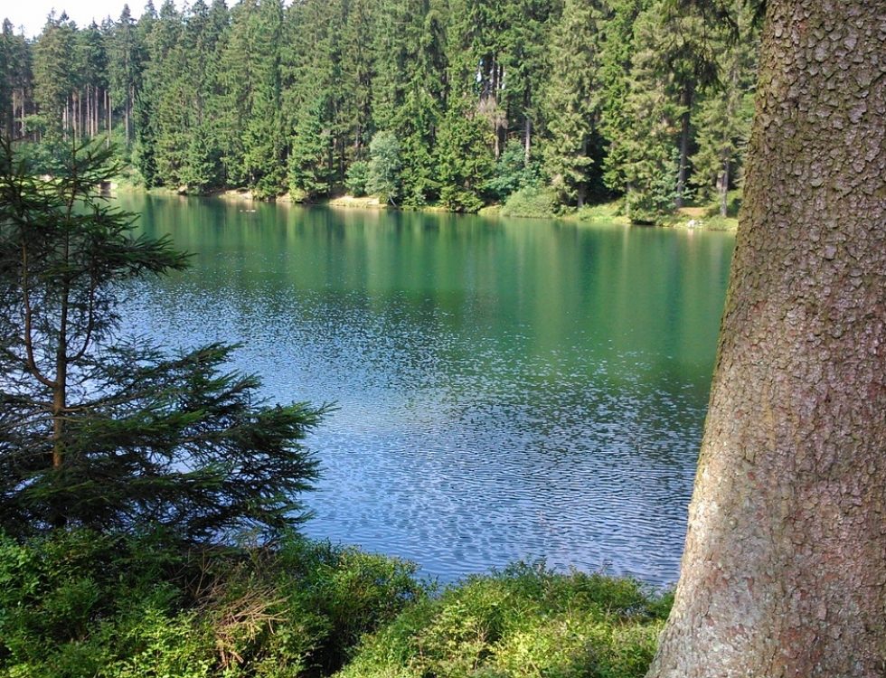 Oberharzer Wasserregal