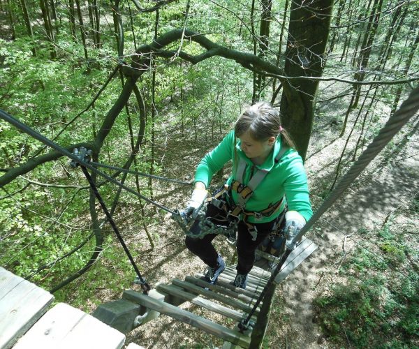 climbing-forest-333594_1280